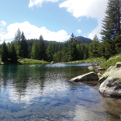 Découverte nature montclar les 2 vallées