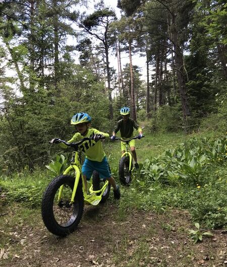 VTT AE