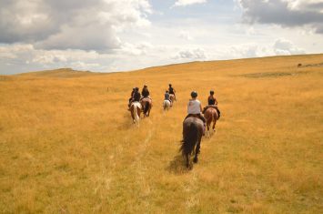 Les Chevaux de Roquépine