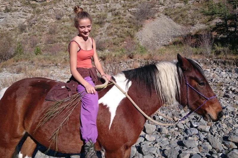 Les Chevaux de Roquépine