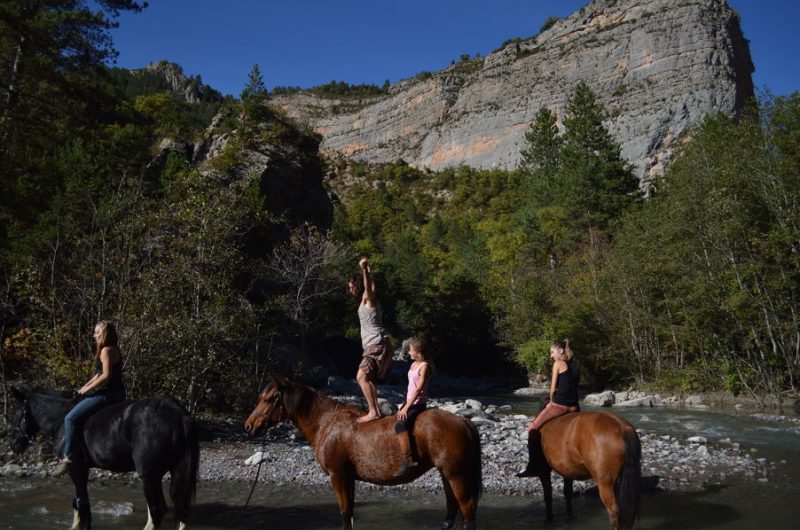 Les Chevaux de Roquépine