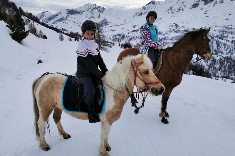 Les Chevaux de Roquépine