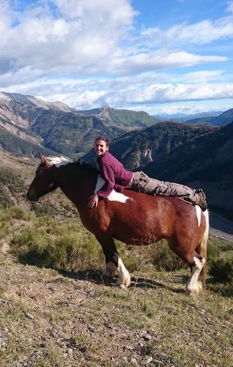 Les Chevaux de Roquépine