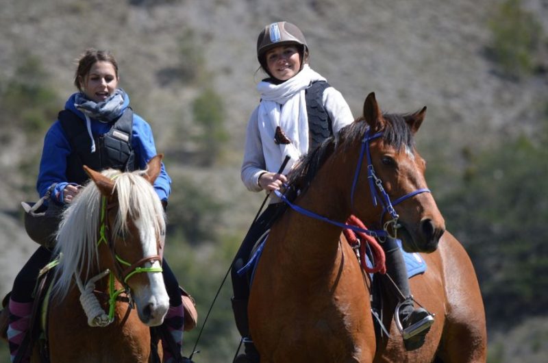 Les Chevaux de Roquépine