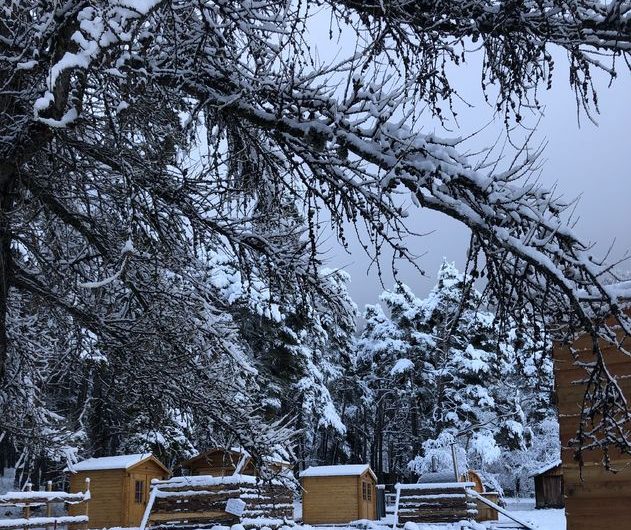 Les Bains des bois hiver