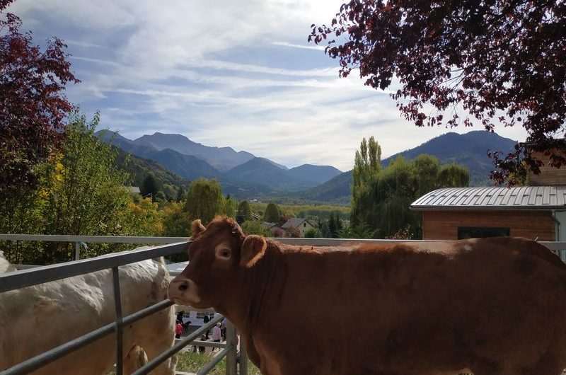 Foire agricole de Seyne