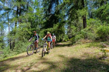 VTT Le bois Noir