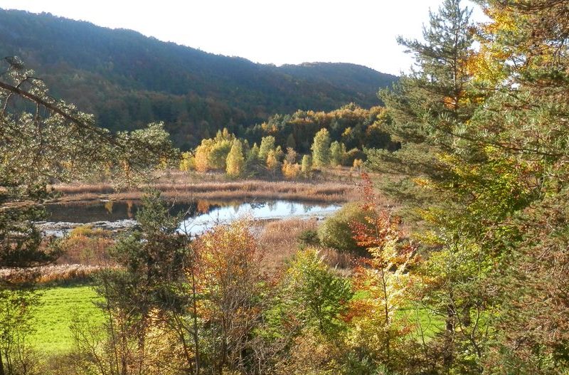 Le Lac de Saint-Léger