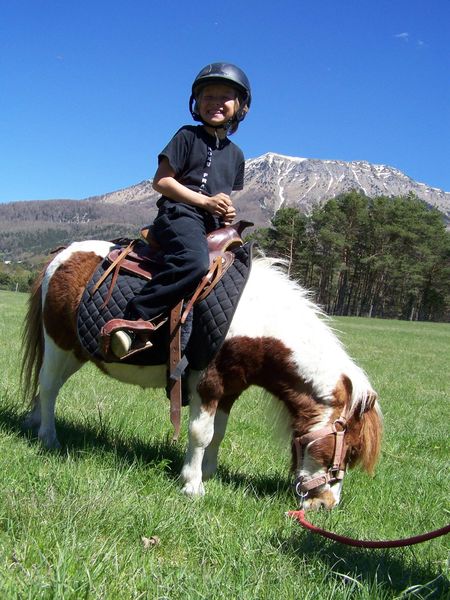 Balade à poney en main