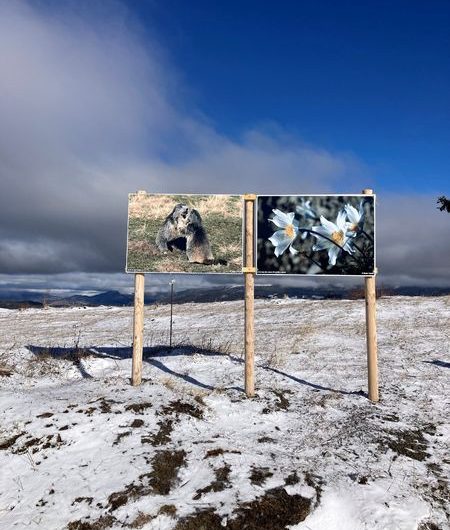 Exposition naturaliste en plein air