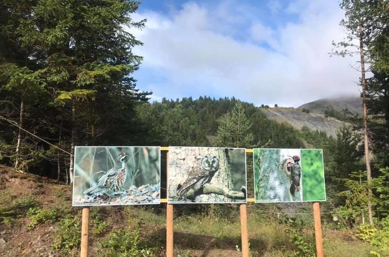 Exposition naturaliste en plein air