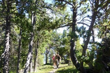 Randonnée à Chabanon