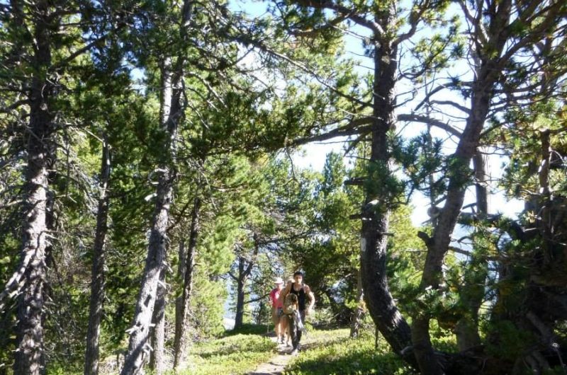 Randonnée à Chabanon