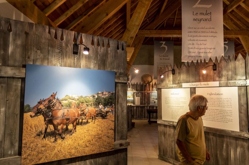 expo permanente Maison du Mulet