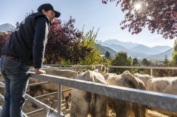 Foire d’octobre Seyne les Alpes