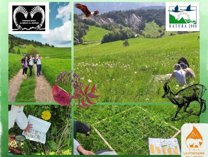 Festival Inventerre 2023