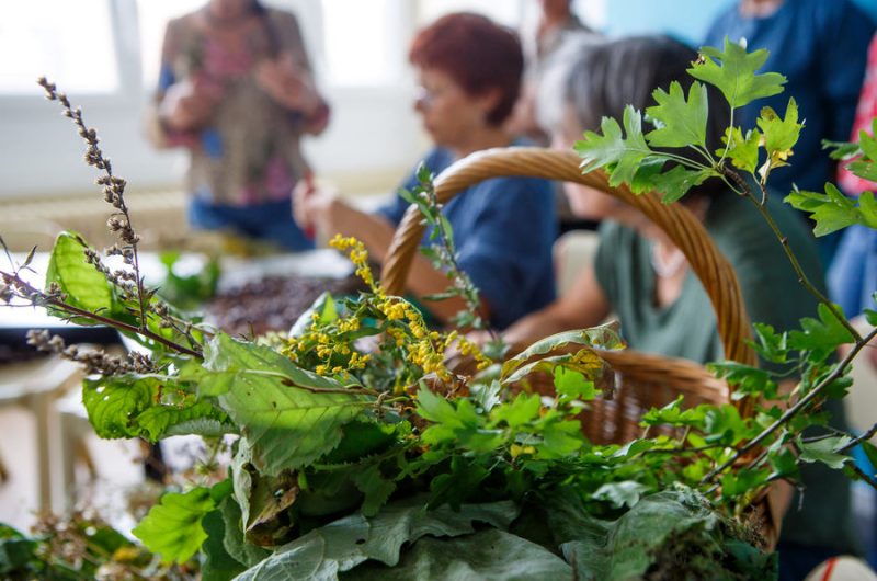 Cours sur les plantes dites sauvages et les minéraux