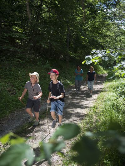 La forêt du Galisson