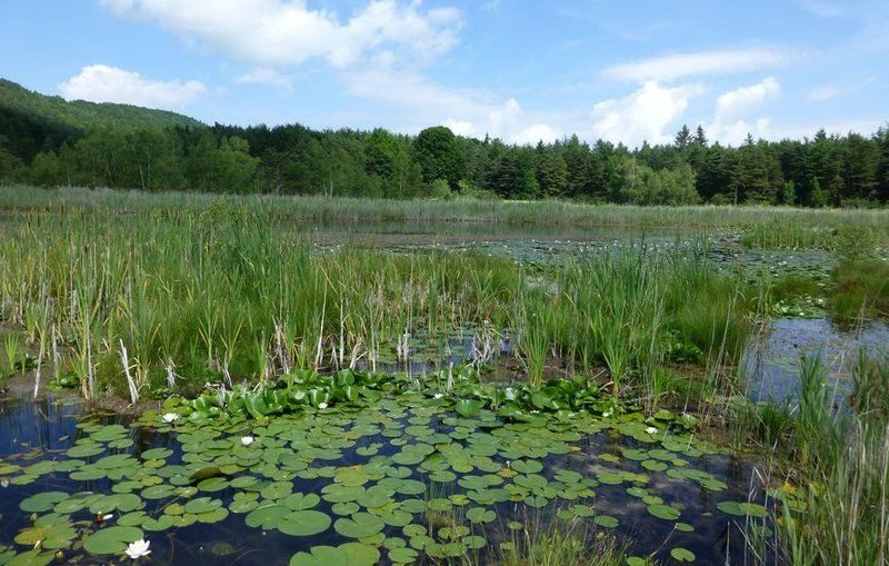 Le lac de Saint-Léger n°4