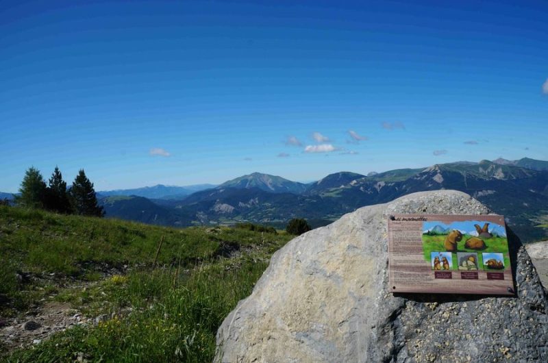 Sentier thématique du plateau de la Chau n°2