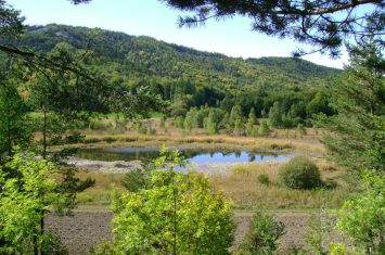 Le lac de St Léger