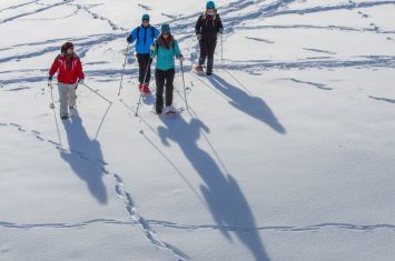 La Forestière