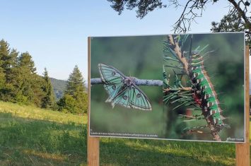 Exposition naturaliste en plein air