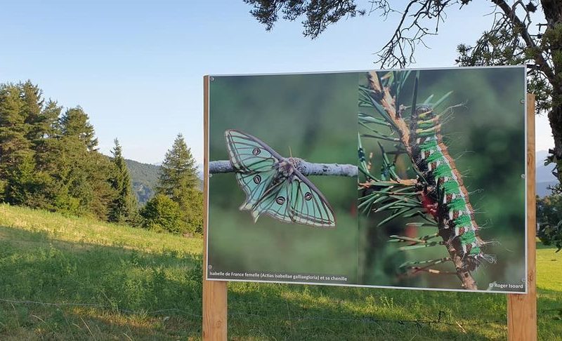 Exposition naturaliste en plein air