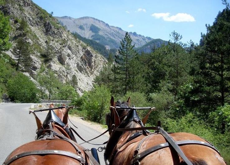 Rando calèche « Art en montagne »