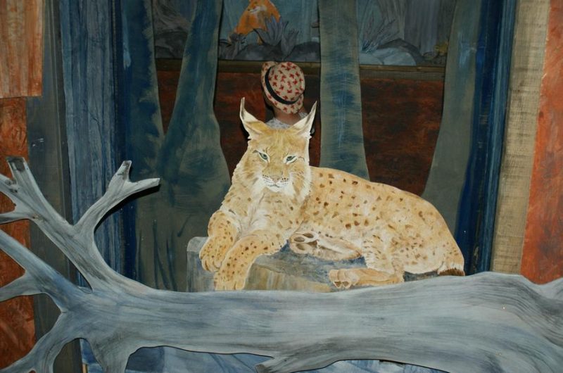 Exposition « Les animaux, la nuit »