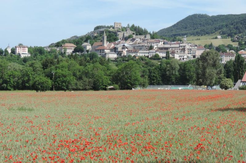 Journées du Patrimoine de Pays & des Moulins 2024