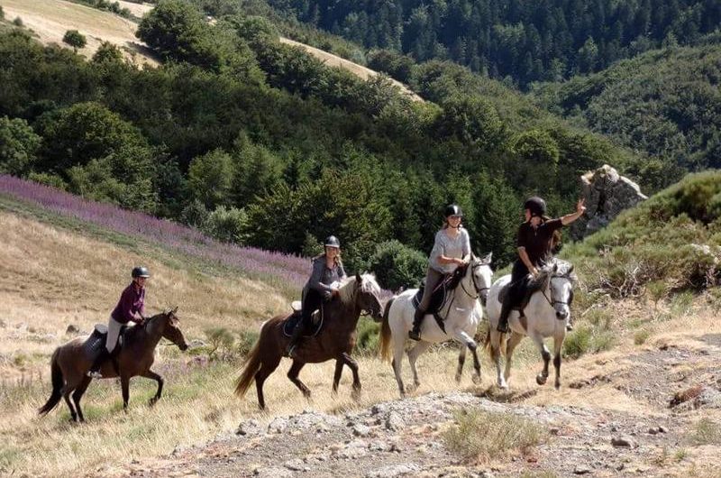 Les Ecuries de Montclar