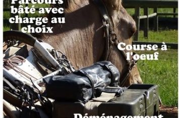 Mules en Seyne, jeux et concours muletiers_Seyne