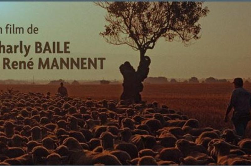 Diffusion du film Les dernières grandes transhumances à Alternateur_Seyne
