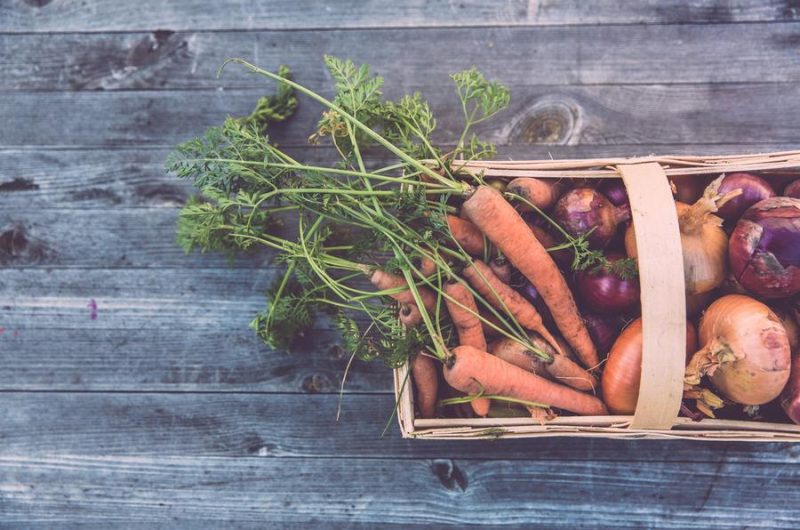 Réunion Sécurité Sociale de l’Alimentation à l’Alternateur_Seyne