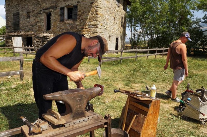 Les Jeudis animés de la Maison du Mulet : Les mulets et leur travail