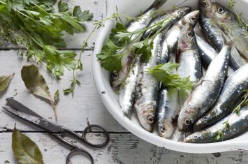 Repas du midi_Auzet