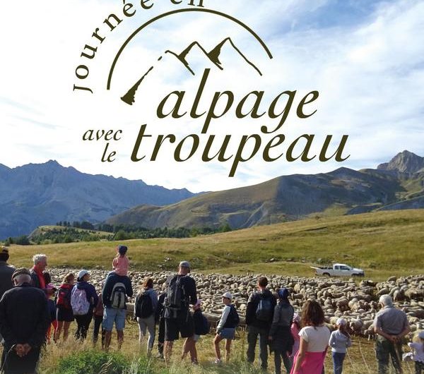 Journée en alpage à la cabane des mulets