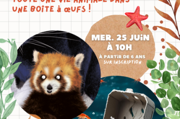 Partir en livre : Toute une vie animale dans une boîte à œufs !_Seyne
