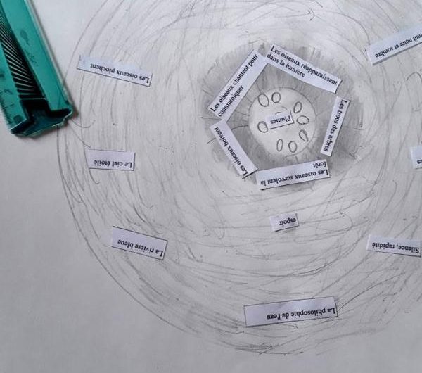 Exposition « Le ruissellement, de la nature en poèmes »_Seyne