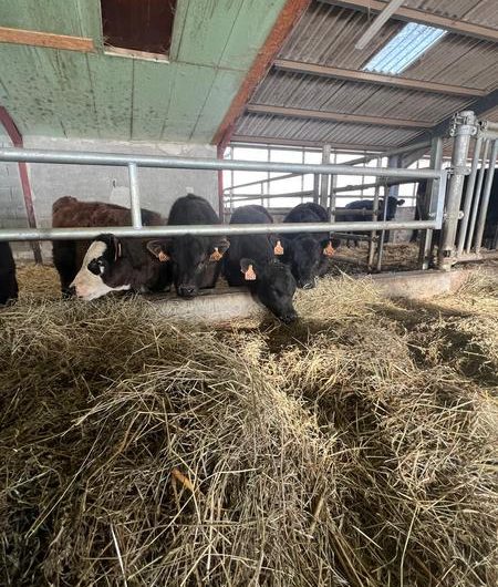 Visite gratuite de la Ferme des Pélissones_Seyne