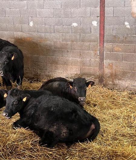 Visite gratuite de la Ferme des Pélissones_Seyne