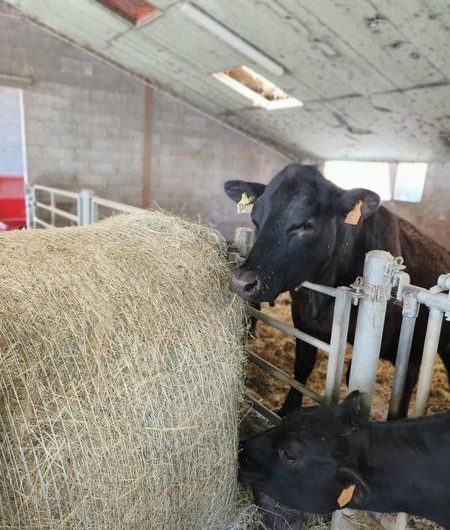 Visite gratuite de la Ferme des Pélissones_Seyne