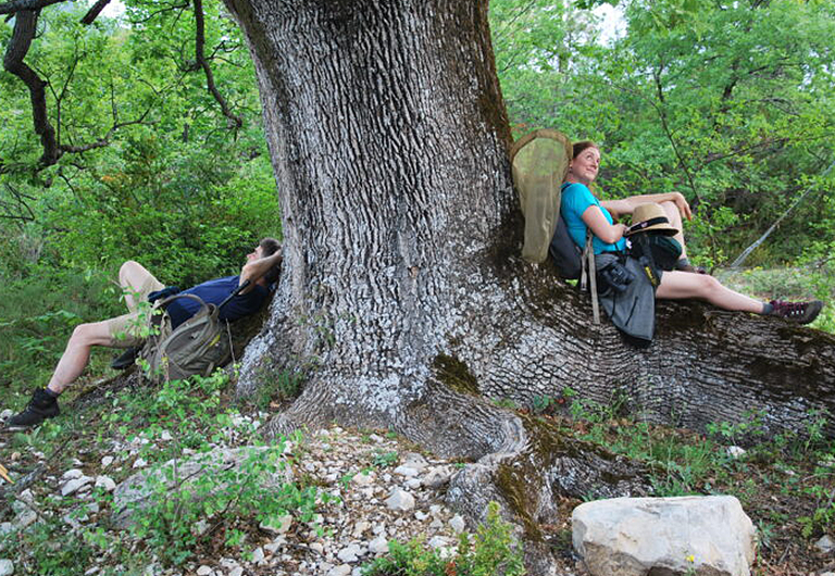 Fifi l&rsquo;écureuil_Seyne