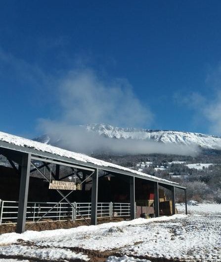 La Ferme des Montclarines_Montclar