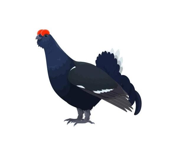 Atelier créatif « les oiseaux de la montagne – Café des arts_Montclar