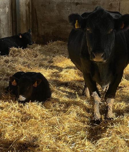 Visite gratuite de la Ferme des Pélissones_Seyne