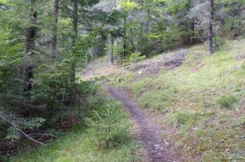 Journée internationale des forêts_Seyne