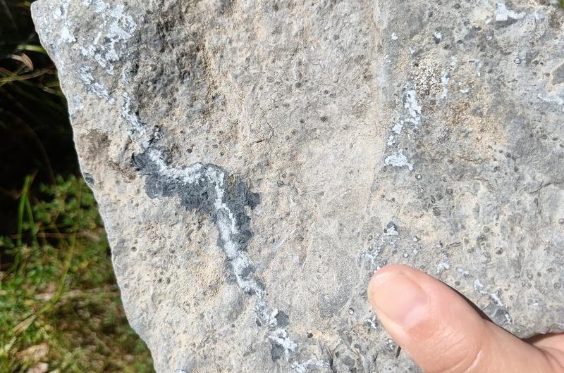 Géotour La Vallée de la Blanche, route de la mémoire de la Terre_Seyne