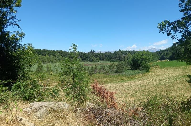 Le Lac de Saint-Léger_Montclar